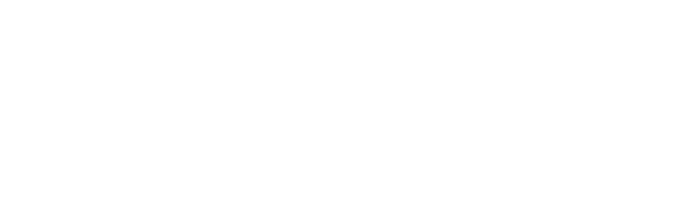 WAH LIN USA LLC